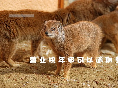 营业执年审可以逾期多长时间 营业执年审可以逾期多长时间