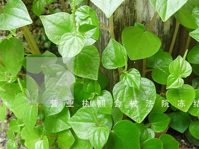 营业执照会被法院冻结吗 营业执照会被法院冻结吗