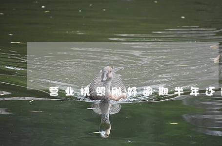 营业执照刚好逾期半年还能续期吗