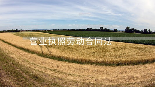 营业执照劳动合同法 营业执照劳动合同法