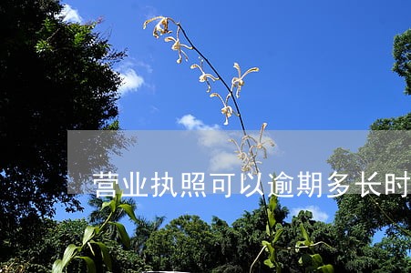 营业执照可以逾期多长时间 营业执照可以逾期多长时间