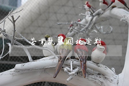 营业执照国税逾期 营业执照国税逾期
