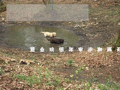 营业执照年审逾期两天 营业执照年审逾期两天