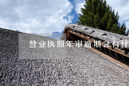 营业执照年审逾期会有什么后果 营业执照年审逾期会有什么后果