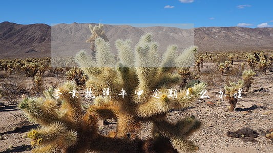 营业执照年审逾期怎么办理 营业执照年审逾期怎么办理