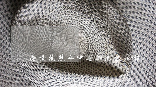 营业执照年审逾期怎么注销 营业执照年审逾期怎么注销