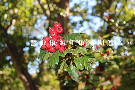 营业执照年审逾期怎么网上补报 营业执照年审逾期怎么网上补报