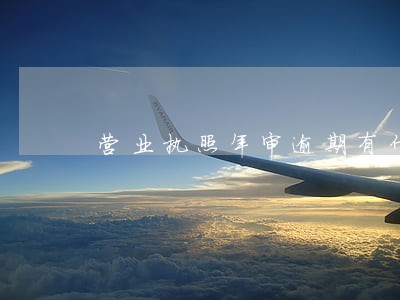 营业执照年审逾期有什么后果