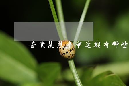 营业执照年审逾期有哪些影响 营业执照年审逾期有哪些影响