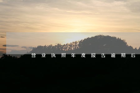 营业执照年度报告逾期后果 营业执照年度报告逾期后果