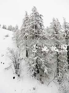 营业执照年度报告逾期怎么办 营业执照年度报告逾期怎么办
