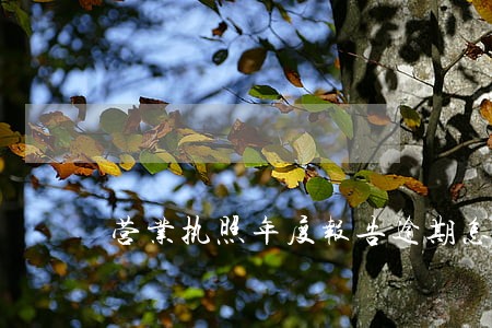营业执照年度报告逾期怎么消除 营业执照年度报告逾期怎么消除