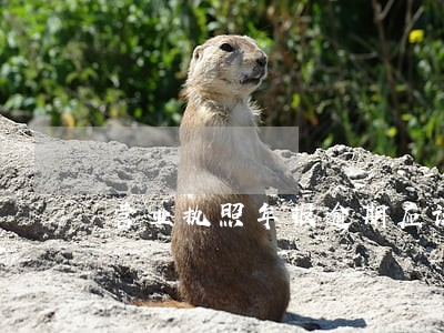 营业执照年报逾期应该打什么电话 营业执照年报逾期应该打什么电话