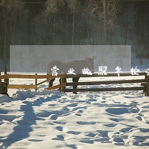 营业执照年检会上征信逾期吗 营业执照年检会上征信逾期吗