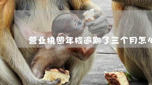 营业执照年检逾期了三个月怎么办 营业执照年检逾期了三个月怎么办
