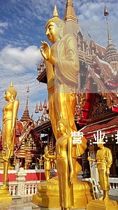 营业执照年检逾期了怎么申请打表 营业执照年检逾期了怎么申请打表