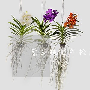 营业执照年检逾期后果 营业执照年检逾期后果