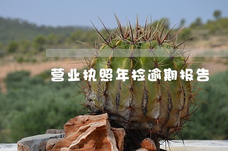 营业执照年检逾期报告 营业执照年检逾期报告