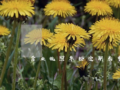 营业执照年检逾期未申报怎么办 营业执照年检逾期未申报怎么办