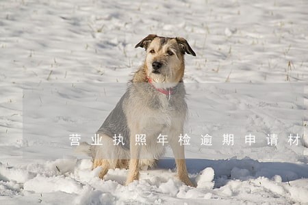 营业执照年检逾期申请材料 营业执照年检逾期申请材料