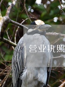 营业执照年检逾期罚款金额 营业执照年检逾期罚款金额