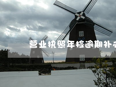 营业执照年检逾期补办费用 营业执照年检逾期补办费用