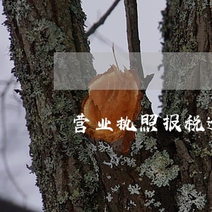 营业执照报税逾期罚多少钱 营业执照报税逾期罚多少钱