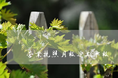 营业执照月报逾期申报