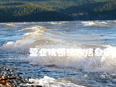 营业执照法人信息逾期 营业执照法人信息逾期