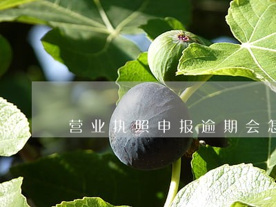 营业执照申报逾期会怎么样