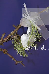 营业执照申报逾期怎么处罚 营业执照申报逾期怎么处罚