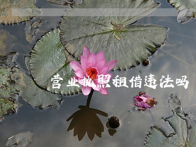 营业执照租借违法吗