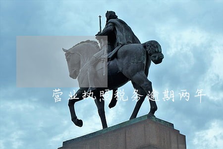 营业执照税务逾期两年