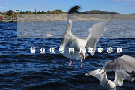 营业执照网上年审逾期 营业执照网上年审逾期