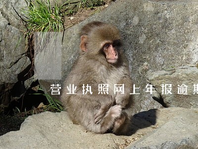 营业执照网上年报逾期怎么处理 营业执照网上年报逾期怎么处理