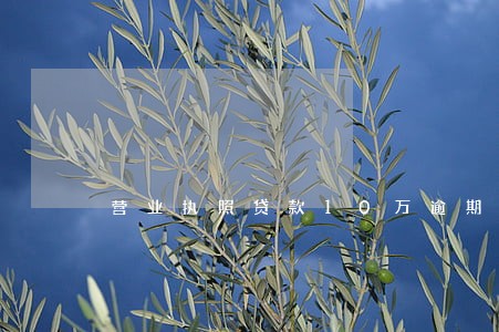 营业执照贷款10万逾期5年 营业执照贷款10万逾期5年