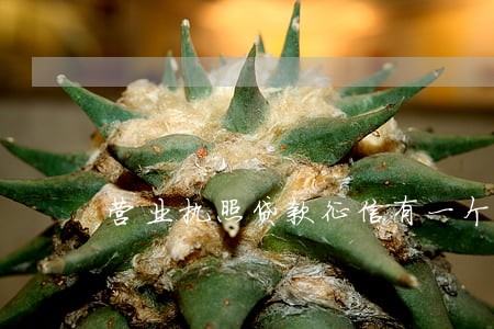 营业执照贷款征信有一个逾期 营业执照贷款征信有一个逾期