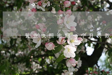 营业执照逾期一个月罚款多少 营业执照逾期一个月罚款多少