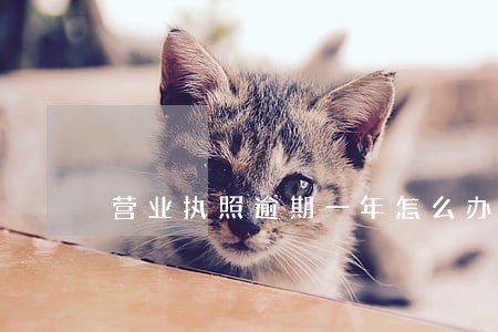 营业执照逾期一年怎么办 营业执照逾期一年怎么办