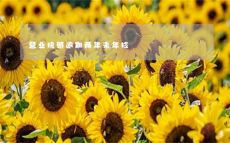 营业执照逾期两年未年检 营业执照逾期两年未年检