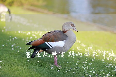 营业执照逾期两年未年检怎么办 营业执照逾期两年未年检怎么办