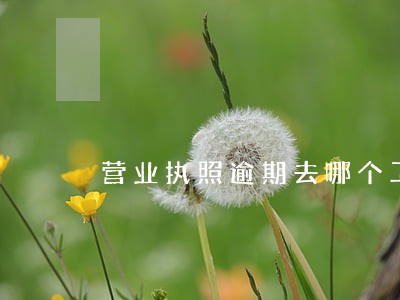 营业执照逾期去哪个工商局