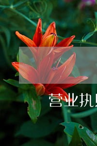 营业执照逾期多久会变黑户 营业执照逾期多久会变黑户