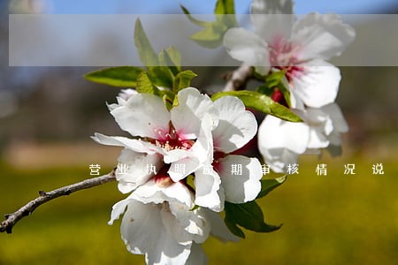 营业执照逾期审核情况说明 营业执照逾期审核情况说明