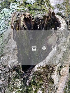 营业执照逾期年审怎么办理 营业执照逾期年审怎么办理