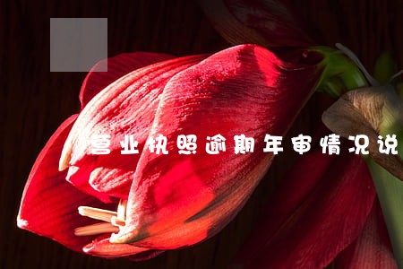 营业执照逾期年审情况说明
