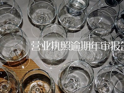 营业执照逾期年审报告