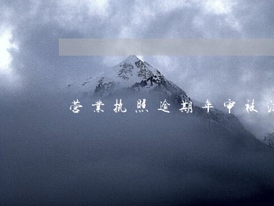 营业执照逾期年审被注销