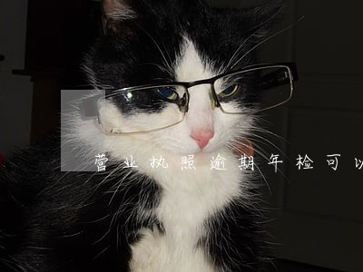 营业执照逾期年检可以注销吗 营业执照逾期年检可以注销吗