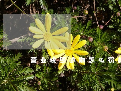 营业执照逾期怎么罚款多少钱